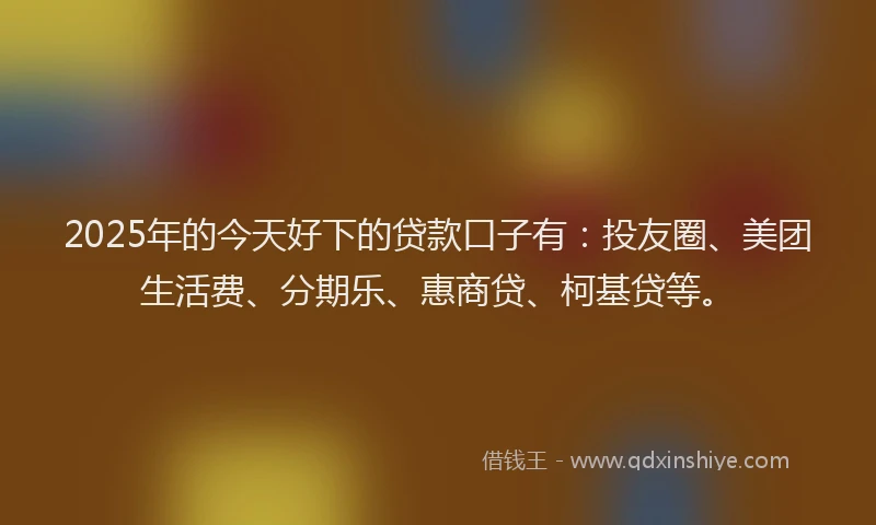2025年的今天好下的贷款口子有：投友圈、美团生活费、分期乐、惠商贷、柯基贷等。