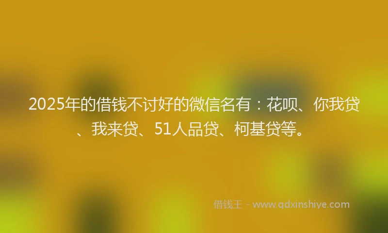 2025年的借钱不讨好的微信名有：花呗、你我贷、我来贷、51人品贷、柯基贷等。