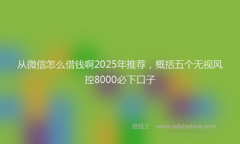 从微信怎么借钱啊2025年推荐，概括五个无视风控8000必下口子
