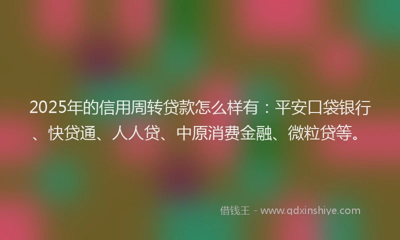 2025年的信用周转贷款怎么样有：平安口袋银行、快贷通、人人贷、中原消费金融、微粒贷等。