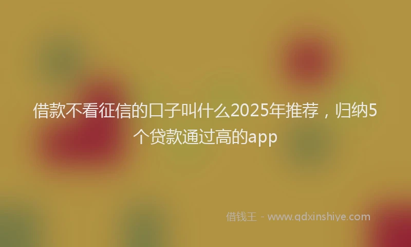 借款不看征信的口子叫什么2025年推荐，归纳5个贷款通过高的app