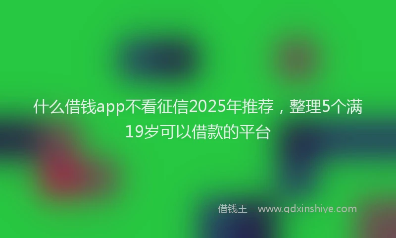 什么借钱app不看征信2025年推荐，整理5个满19岁可以借款的平台