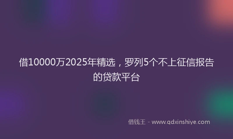 借10000万2025年精选，罗列5个不上征信报告的贷款平台