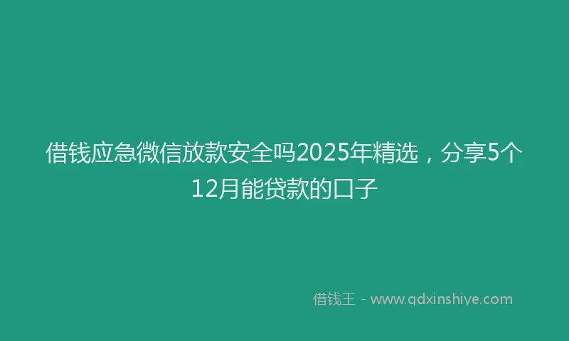 借钱应急微信放款安全吗2025年精选，分享5个12月能贷款的口子
