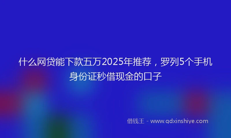 什么网贷能下款五万2025年推荐，罗列5个手机身份证秒借现金的口子
