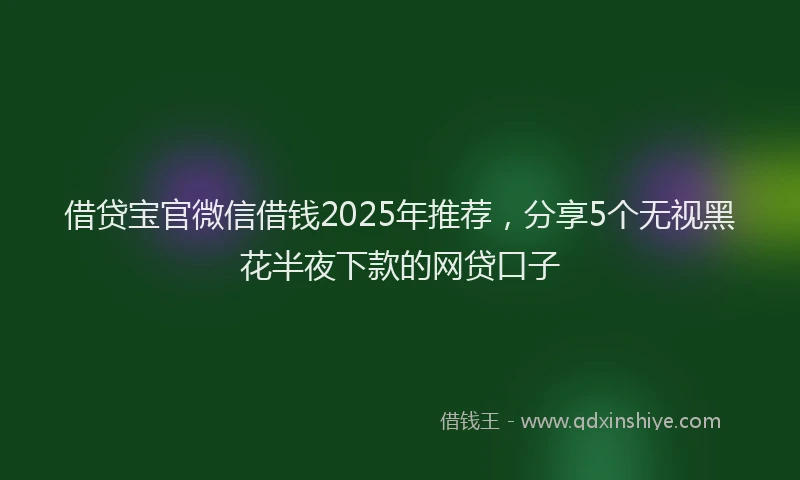 借贷宝官微信借钱2025年推荐，分享5个无视黑花半夜下款的网贷口子