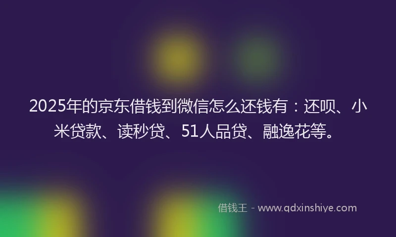 2025年的京东借钱到微信怎么还钱有：还呗、小米贷款、读秒贷、51人品贷、融逸花等。