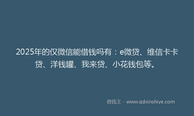 2025年的仅微信能借钱吗有：e微贷、维信卡卡贷、洋钱罐、我来贷、小花钱包等。
