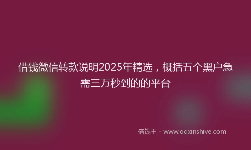 借钱微信转款说明2025年精选，概括五个黑户急需三万秒到的的平台