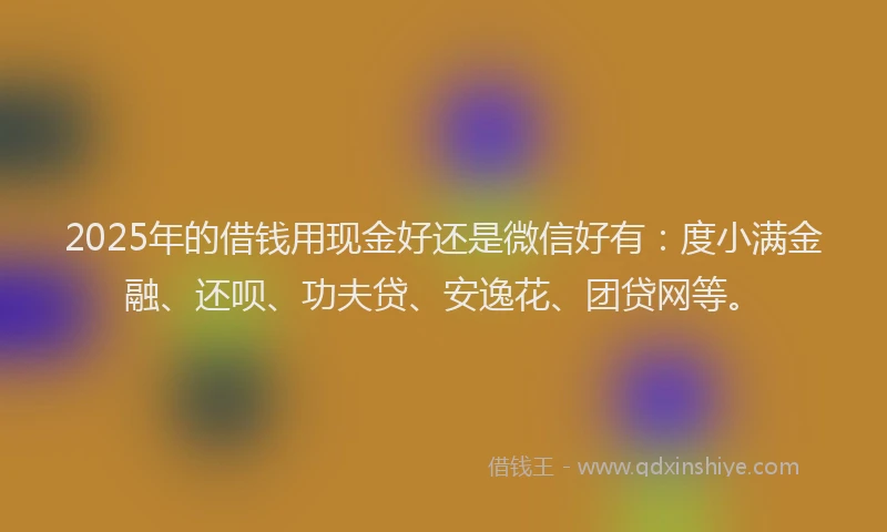 2025年的借钱用现金好还是微信好有：度小满金融、还呗、功夫贷、安逸花、团贷网等。