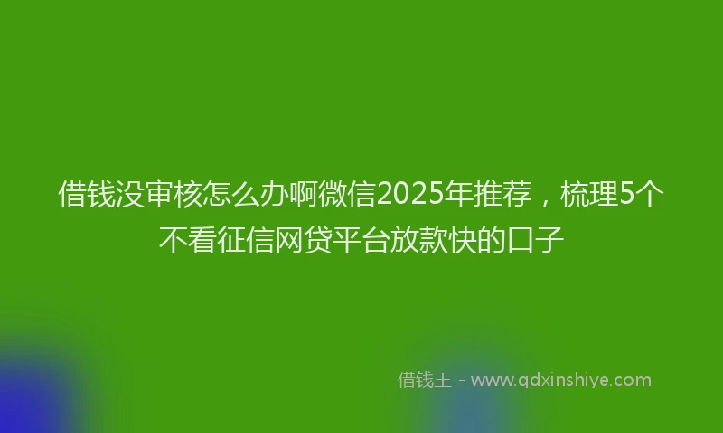 借钱没审核怎么办啊微信2025年推荐，梳理5个不看征信网贷平台放款快的口子