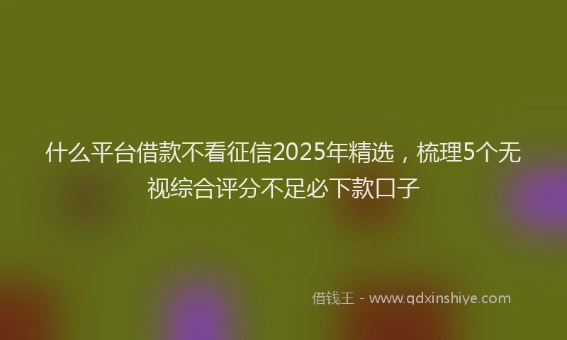 什么平台借款不看征信2025年精选，梳理5个无视综合评分不足必下款口子