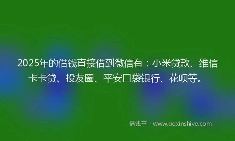 2025年的借钱直接借到微信有：小米贷款、维信卡卡贷、投友圈、平安口袋银行、花呗等。