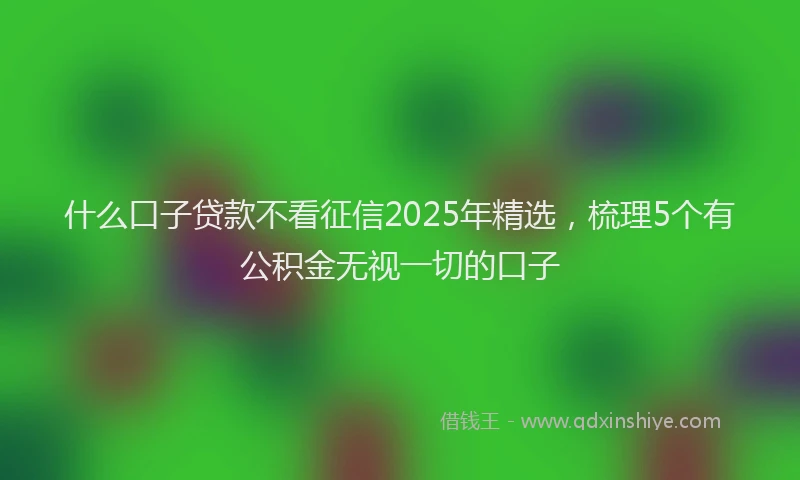 什么口子贷款不看征信2025年精选，梳理5个有公积金无视一切的口子