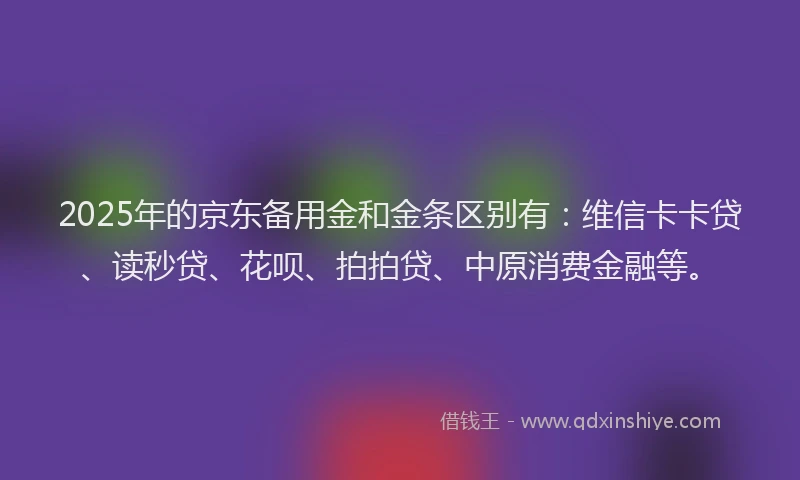 2025年的京东备用金和金条区别有：维信卡卡贷、读秒贷、花呗、拍拍贷、中原消费金融等。