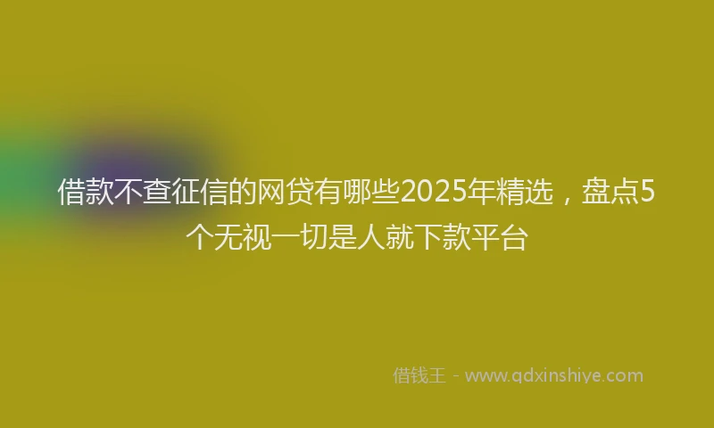 借款不查征信的网贷有哪些2025年精选，盘点5个无视一切是人就下款平台