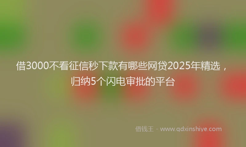 借3000不看征信秒下款有哪些网贷2025年精选，归纳5个闪电审批的平台