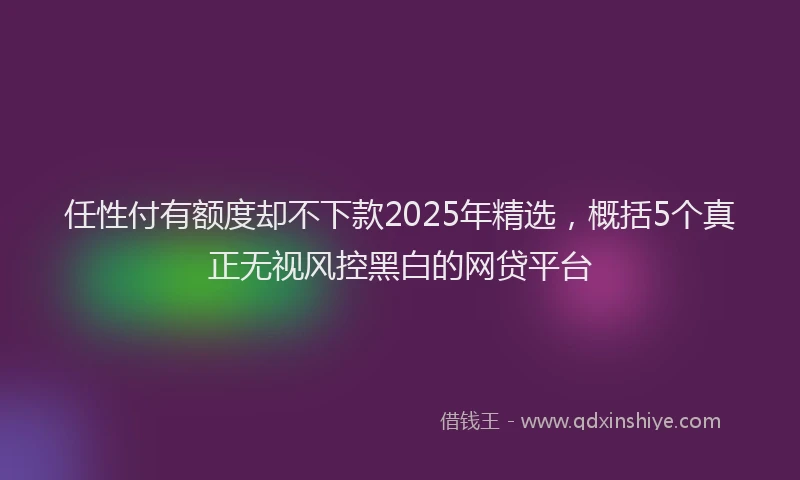 任性付有额度却不下款2025年精选，概括5个真正无视风控黑白的网贷平台