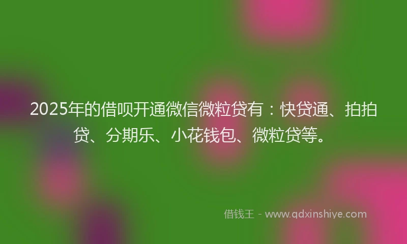 2025年的借呗开通微信微粒贷有：快贷通、拍拍贷、分期乐、小花钱包、微粒贷等。