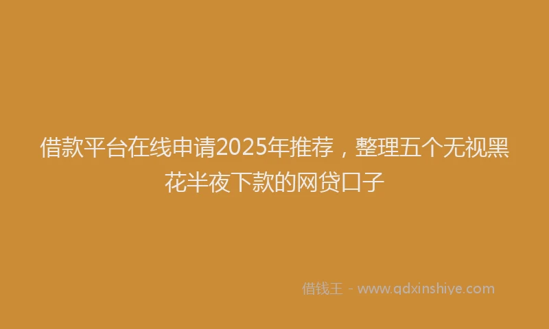 借款平台在线申请2025年推荐，整理五个无视黑花半夜下款的网贷口子