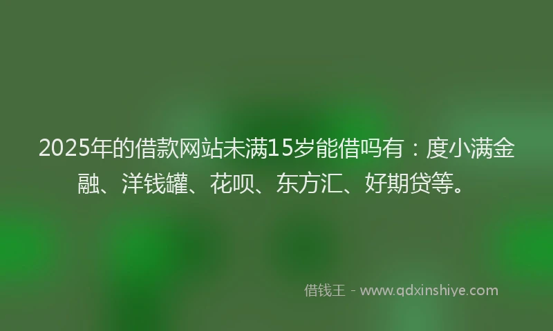 2025年的借款网站未满15岁能借吗有：度小满金融、洋钱罐、花呗、东方汇、好期贷等。
