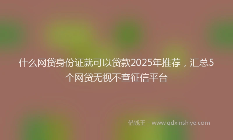 什么网贷身份证就可以贷款2025年推荐，汇总5个网贷无视不查征信平台