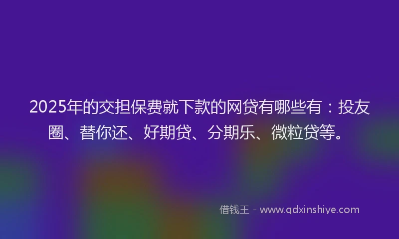 2025年的交担保费就下款的网贷有哪些有：投友圈、替你还、好期贷、分期乐、微粒贷等。