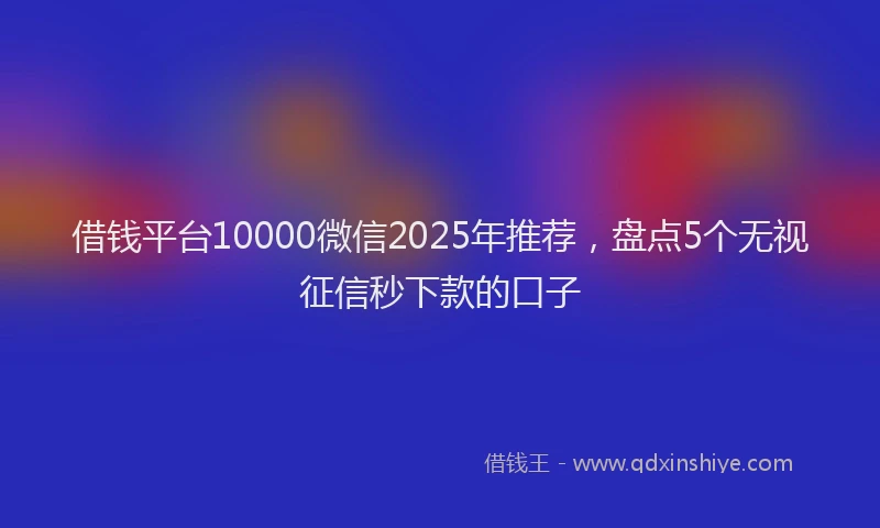 借钱平台10000微信2025年推荐，盘点5个无视征信秒下款的口子