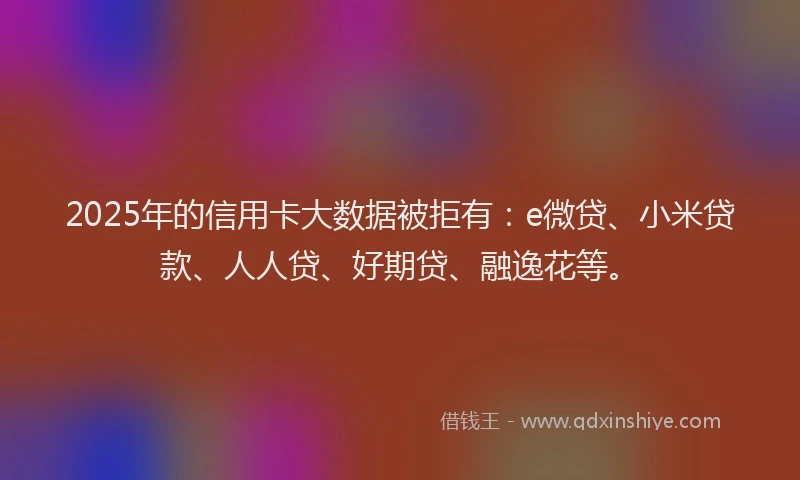 2025年的信用卡大数据被拒有：e微贷、小米贷款、人人贷、好期贷、融逸花等。
