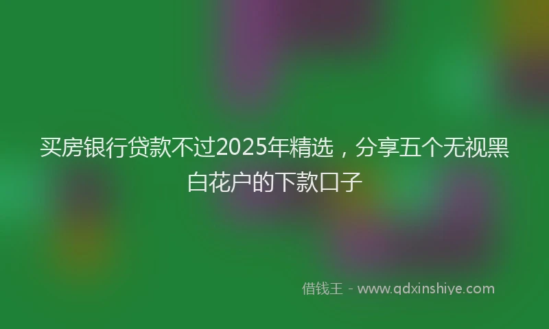 买房银行贷款不过2025年精选，分享五个无视黑白花户的下款口子
