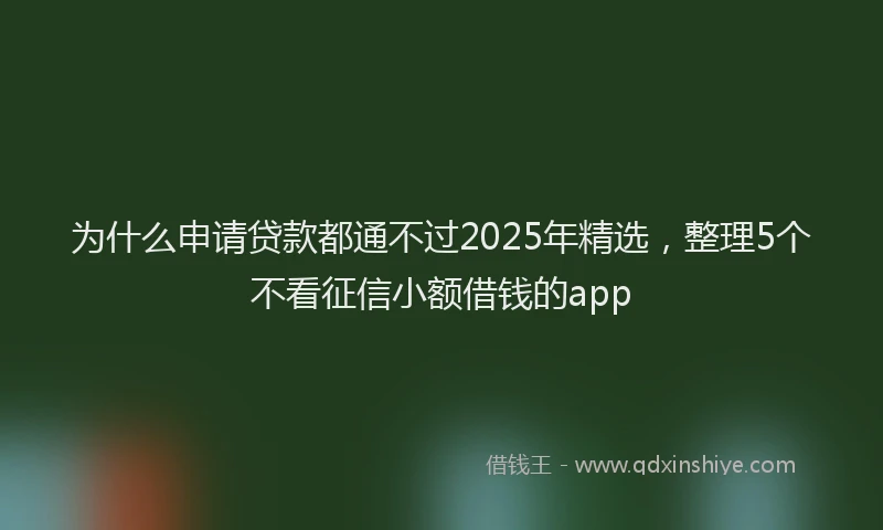 为什么申请贷款都通不过2025年精选，整理5个不看征信小额借钱的app