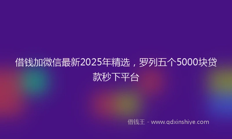 借钱加微信最新2025年精选，罗列五个5000块贷款秒下平台