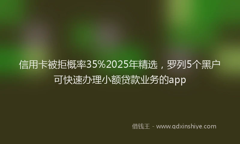 信用卡被拒概率35%2025年精选，罗列5个黑户可快速办理小额贷款业务的app