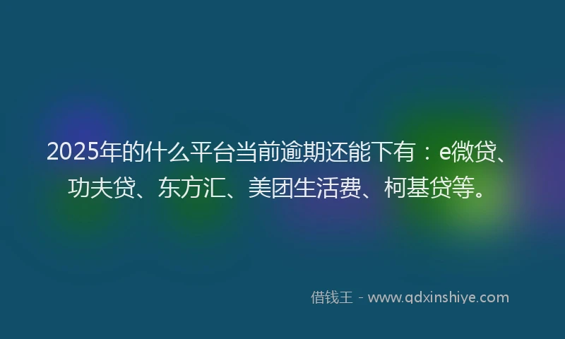 2025年的什么平台当前逾期还能下有：e微贷、功夫贷、东方汇、美团生活费、柯基贷等。