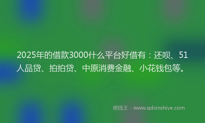 2025年的借款3000什么平台好借有：还呗、51人品贷、拍拍贷、中原消费金融、小花钱包等。