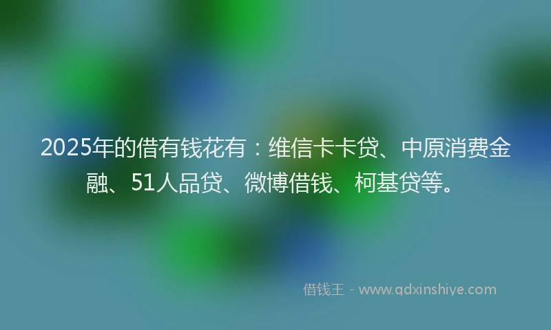 2025年的借有钱花有：维信卡卡贷、中原消费金融、51人品贷、微博借钱、柯基贷等。