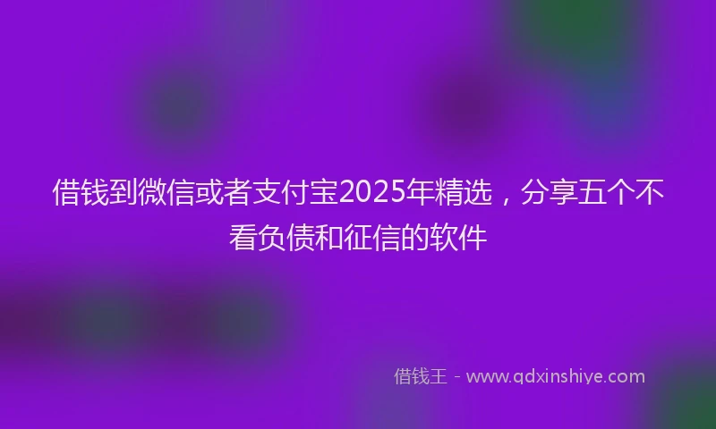 借钱到微信或者支付宝2025年精选，分享五个不看负债和征信的软件