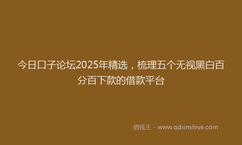 今日口子论坛2025年精选，梳理五个无视黑白百分百下款的借款平台