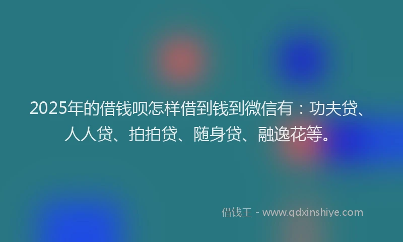 2025年的借钱呗怎样借到钱到微信有：功夫贷、人人贷、拍拍贷、随身贷、融逸花等。