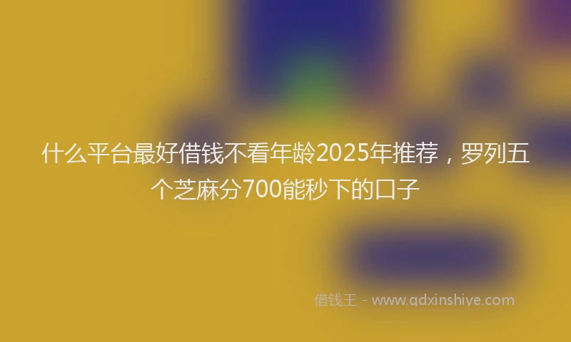 什么平台最好借钱不看年龄2025年推荐，罗列五个芝麻分700能秒下的口子