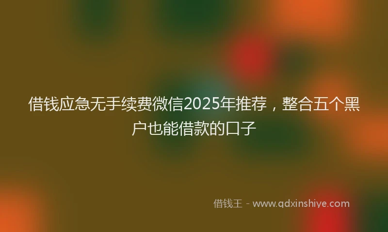 借钱应急无手续费微信2025年推荐，整合五个黑户也能借款的口子