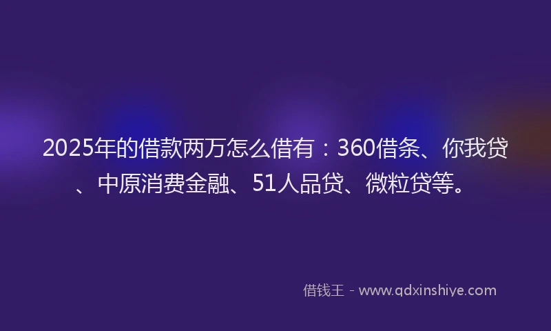 2025年的借款两万怎么借有：360借条、你我贷、中原消费金融、51人品贷、微粒贷等。