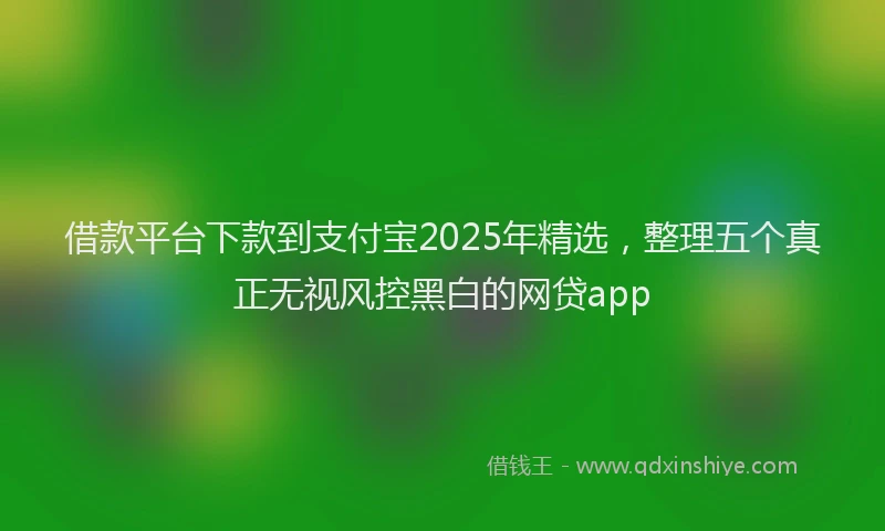 借款平台下款到支付宝2025年精选，整理五个真正无视风控黑白的网贷app