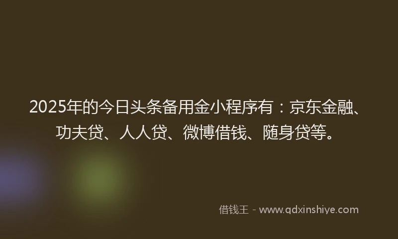 2025年的今日头条备用金小程序有：京东金融、功夫贷、人人贷、微博借钱、随身贷等。