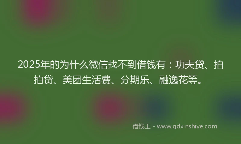 2025年的为什么微信找不到借钱有：功夫贷、拍拍贷、美团生活费、分期乐、融逸花等。