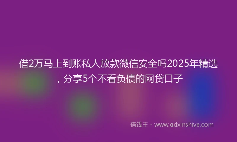 借2万马上到账私人放款微信安全吗2025年精选，分享5个不看负债的网贷口子