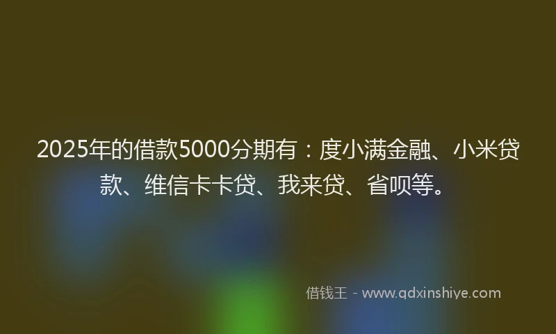 2025年的借款5000分期有：度小满金融、小米贷款、维信卡卡贷、我来贷、省呗等。