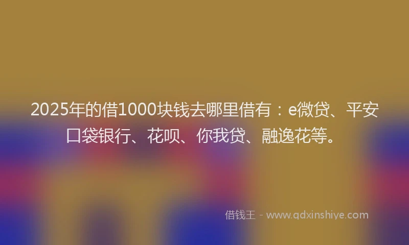 2025年的借1000块钱去哪里借有：e微贷、平安口袋银行、花呗、你我贷、融逸花等。
