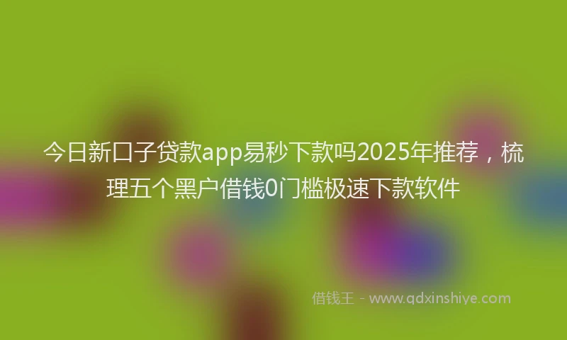 今日新口子贷款app易秒下款吗2025年推荐，梳理五个黑户借钱0门槛极速下款软件