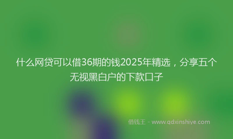 什么网贷可以借36期的钱2025年精选，分享五个无视黑白户的下款口子